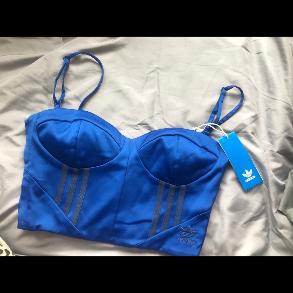 Danielle Cathari Blue Bustier Crop Top